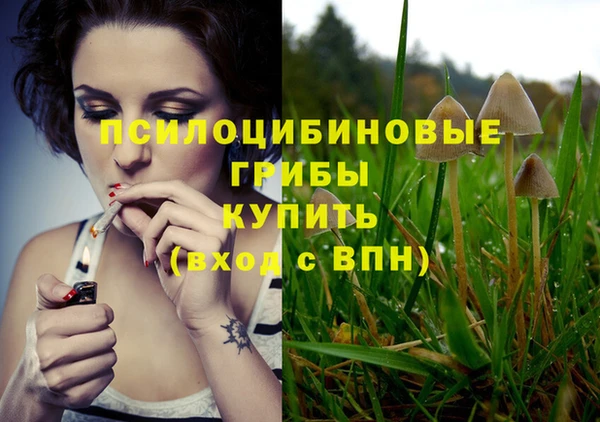 тгк Абинск